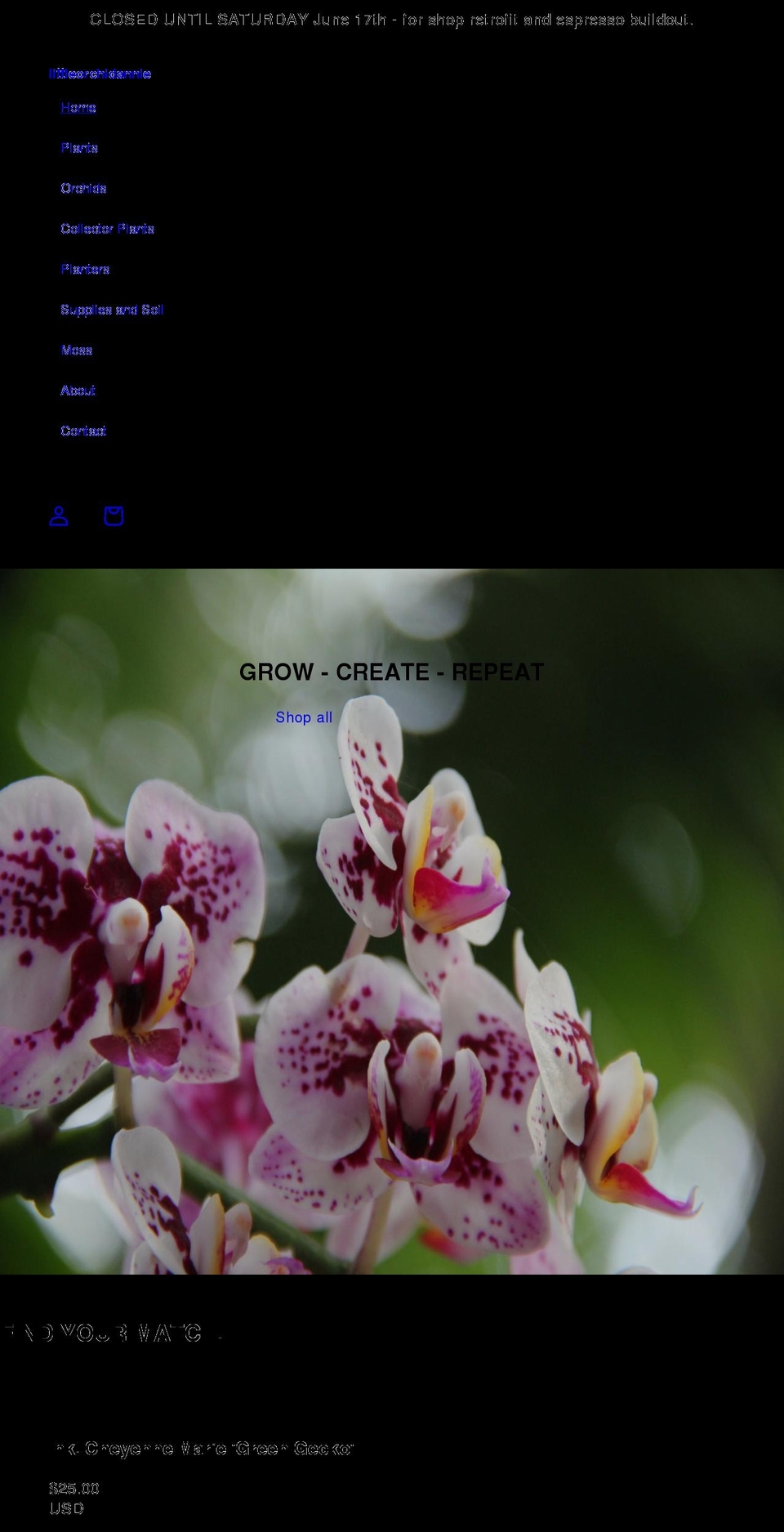 littleorchidannie.com shopify website screenshot