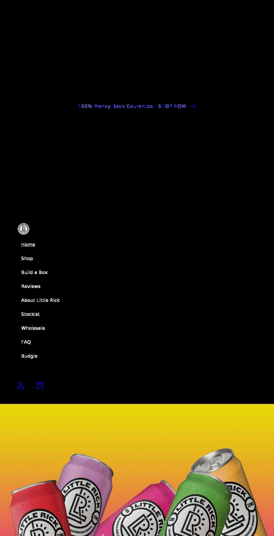 littlerick.co.uk shopify website screenshot