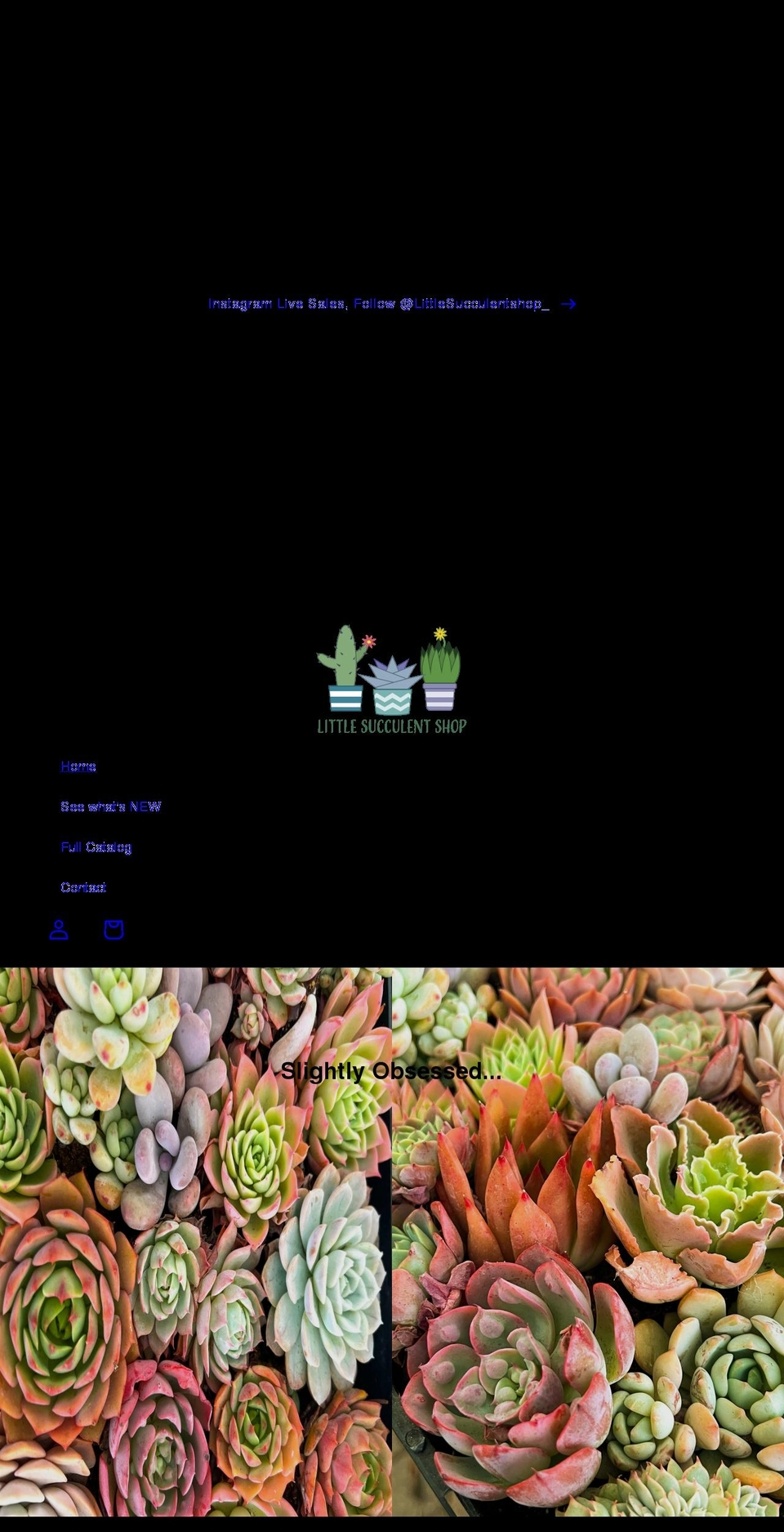 littlesucculentshop.com shopify website screenshot