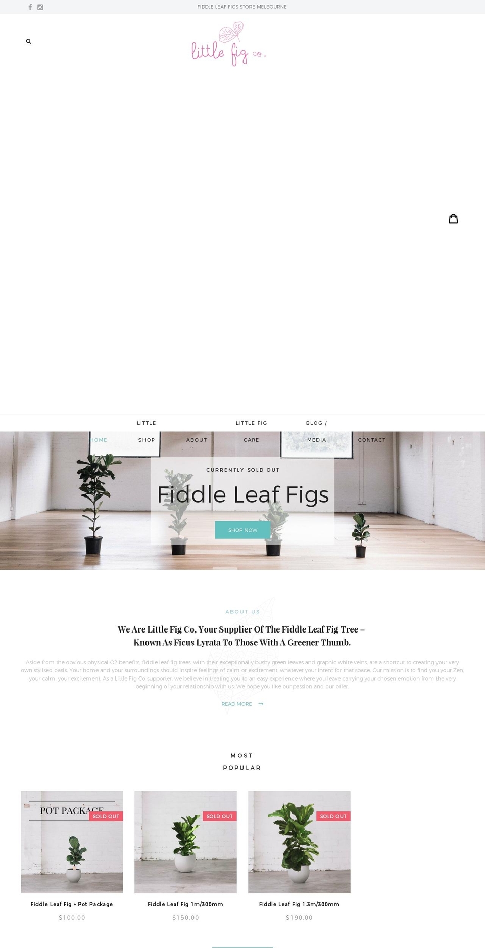 Little-Fig-v3--BKP--AK--6--APRIL-2017 Shopify theme site example littleverde.com