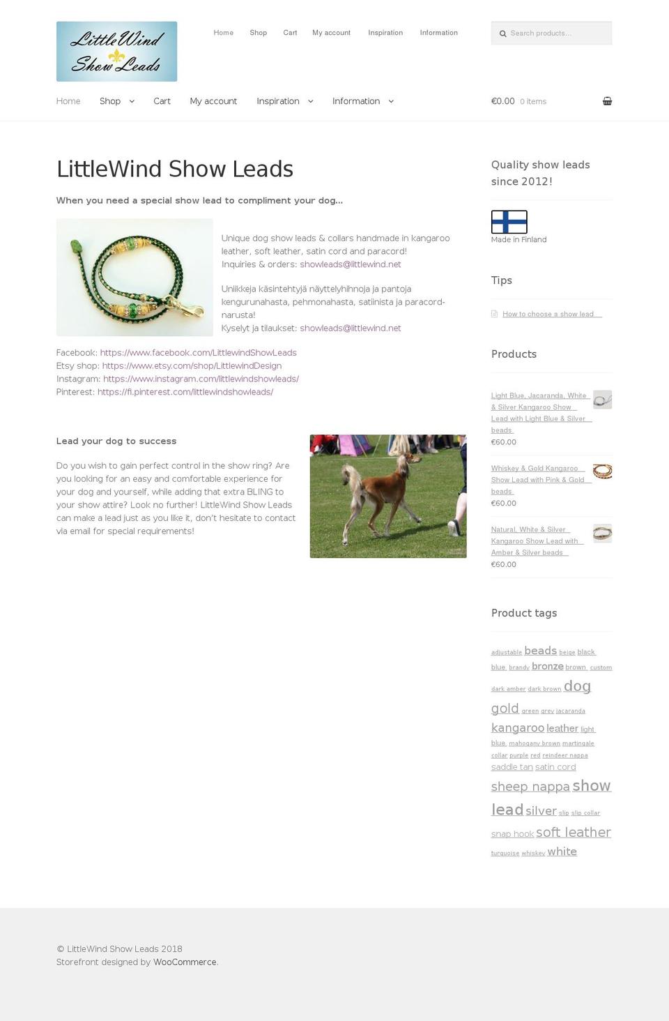littlewind.net shopify website screenshot