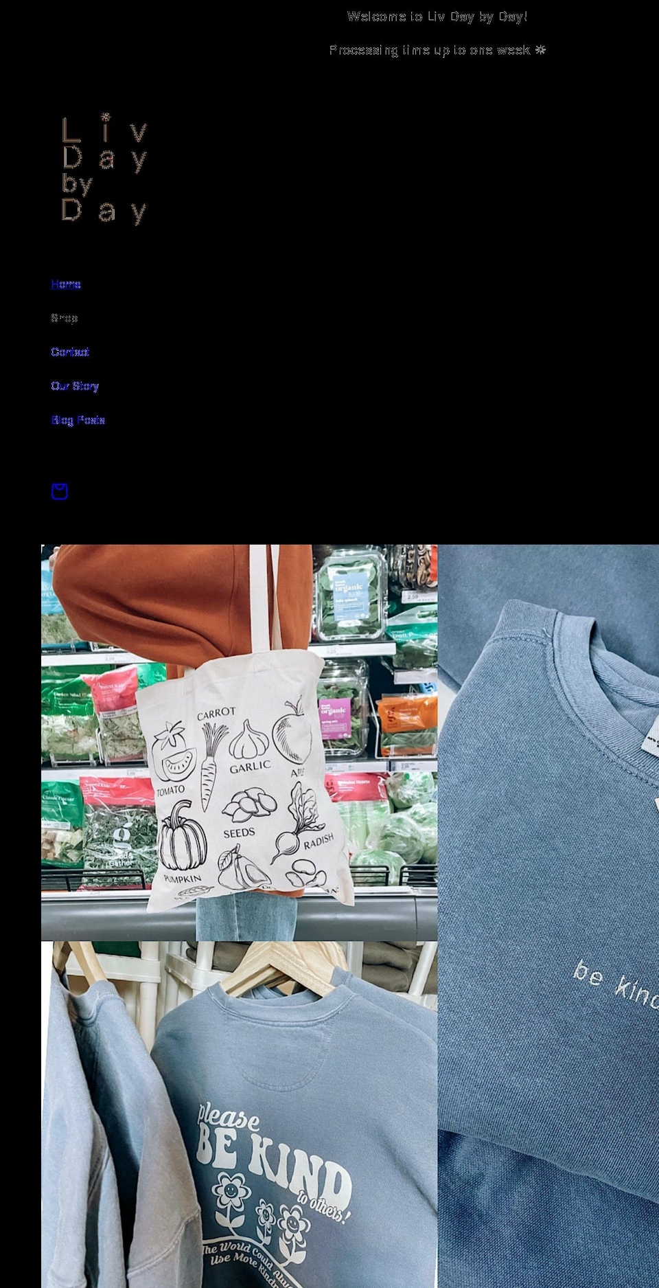 livdaybyday.com shopify website screenshot