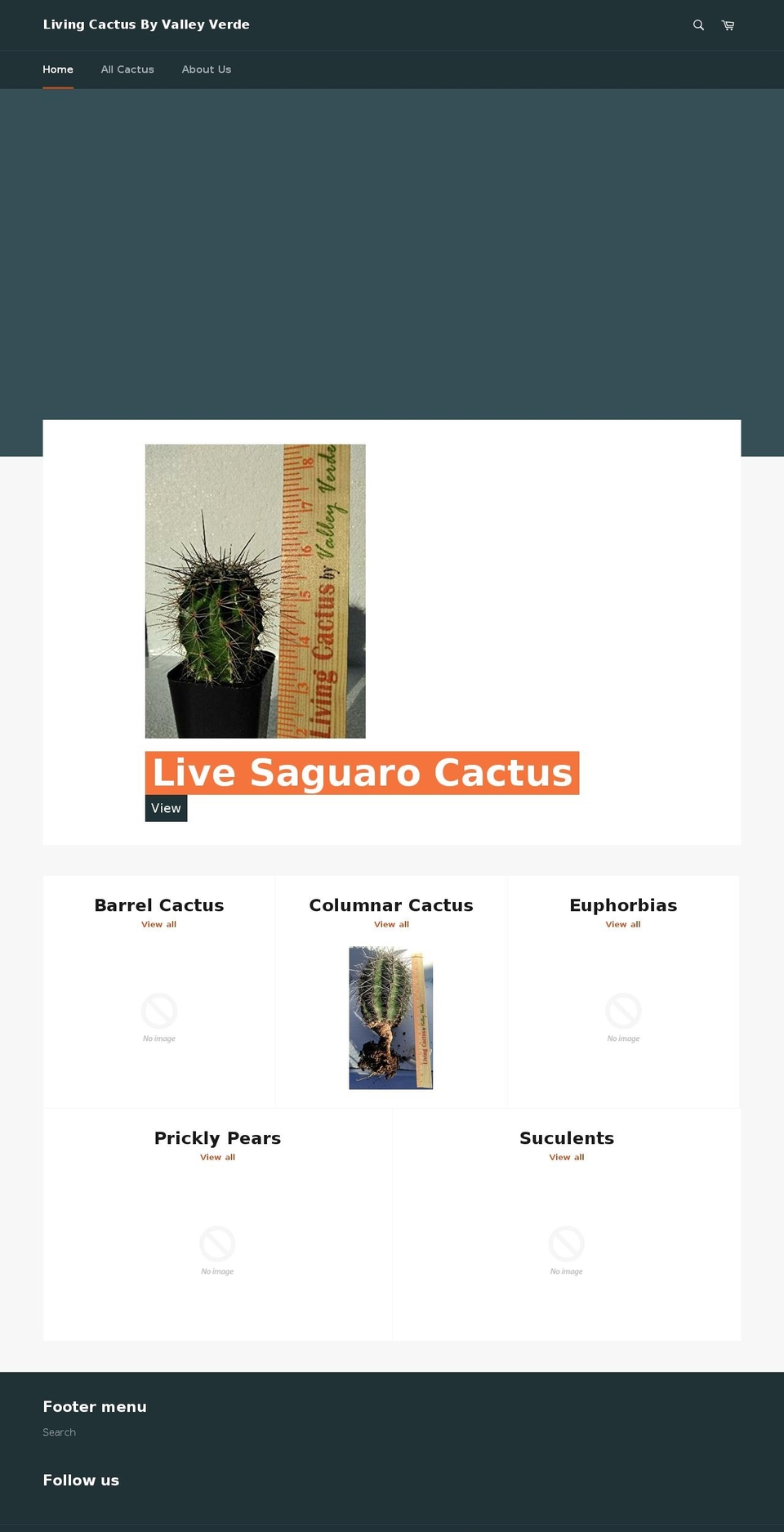 livingcactus.com — Shopify storefront screenshot