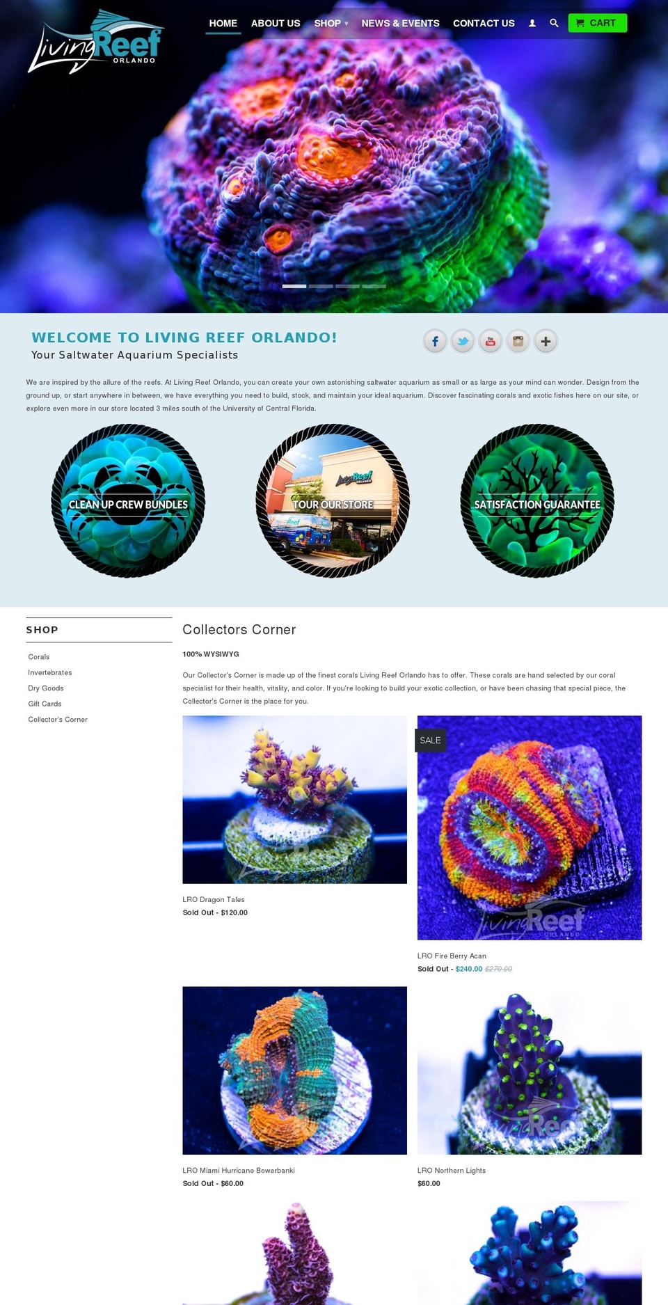 livingreeforlando.com shopify website screenshot