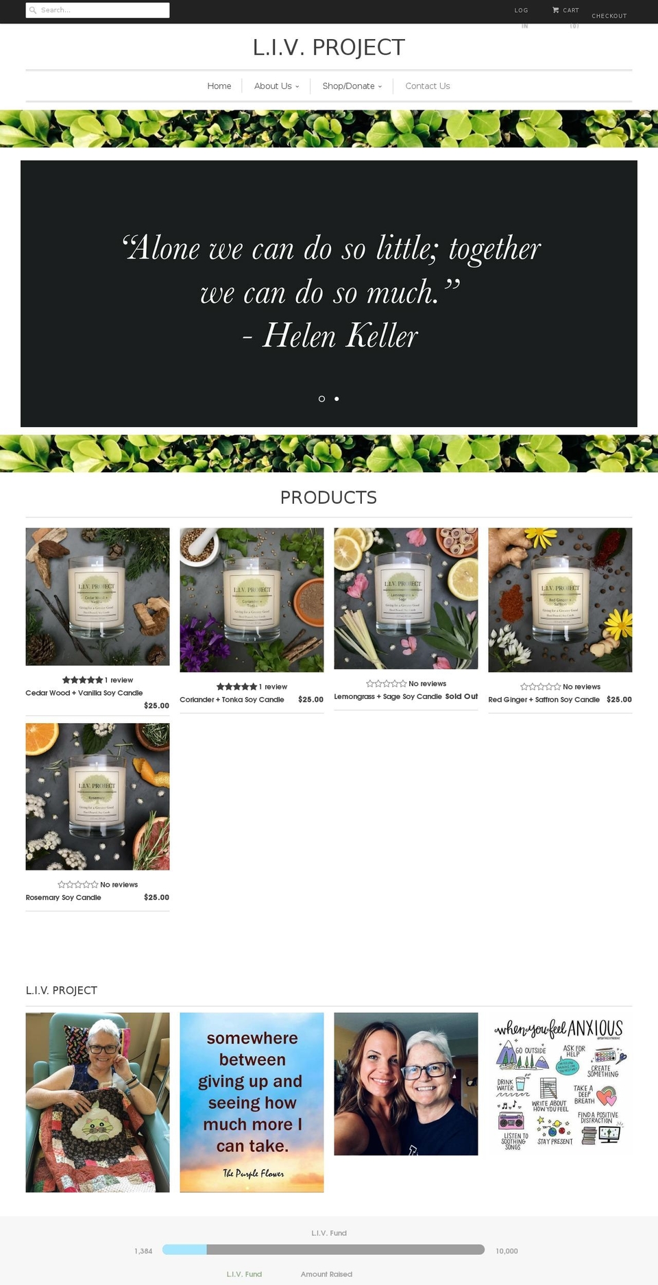livproject.com — Shopify storefront screenshot