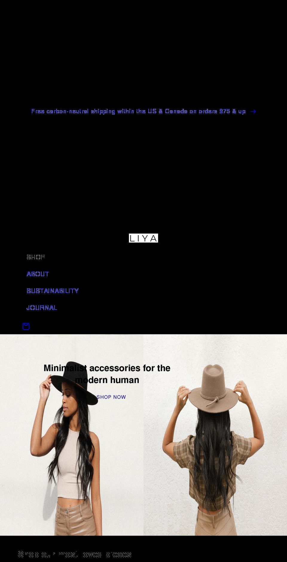 liyacollective.com shopify website screenshot