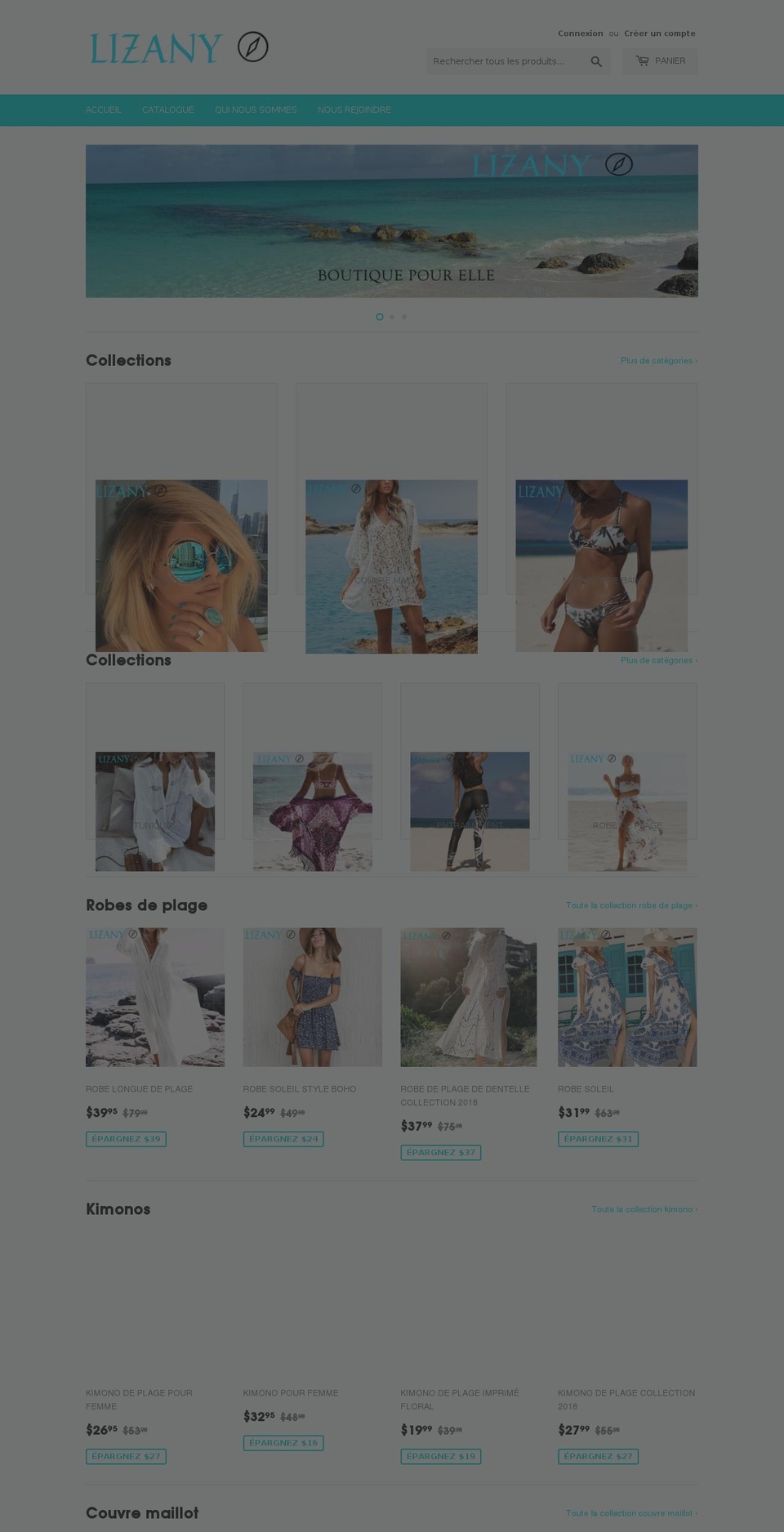 lizany.com — Shopify storefront screenshot
