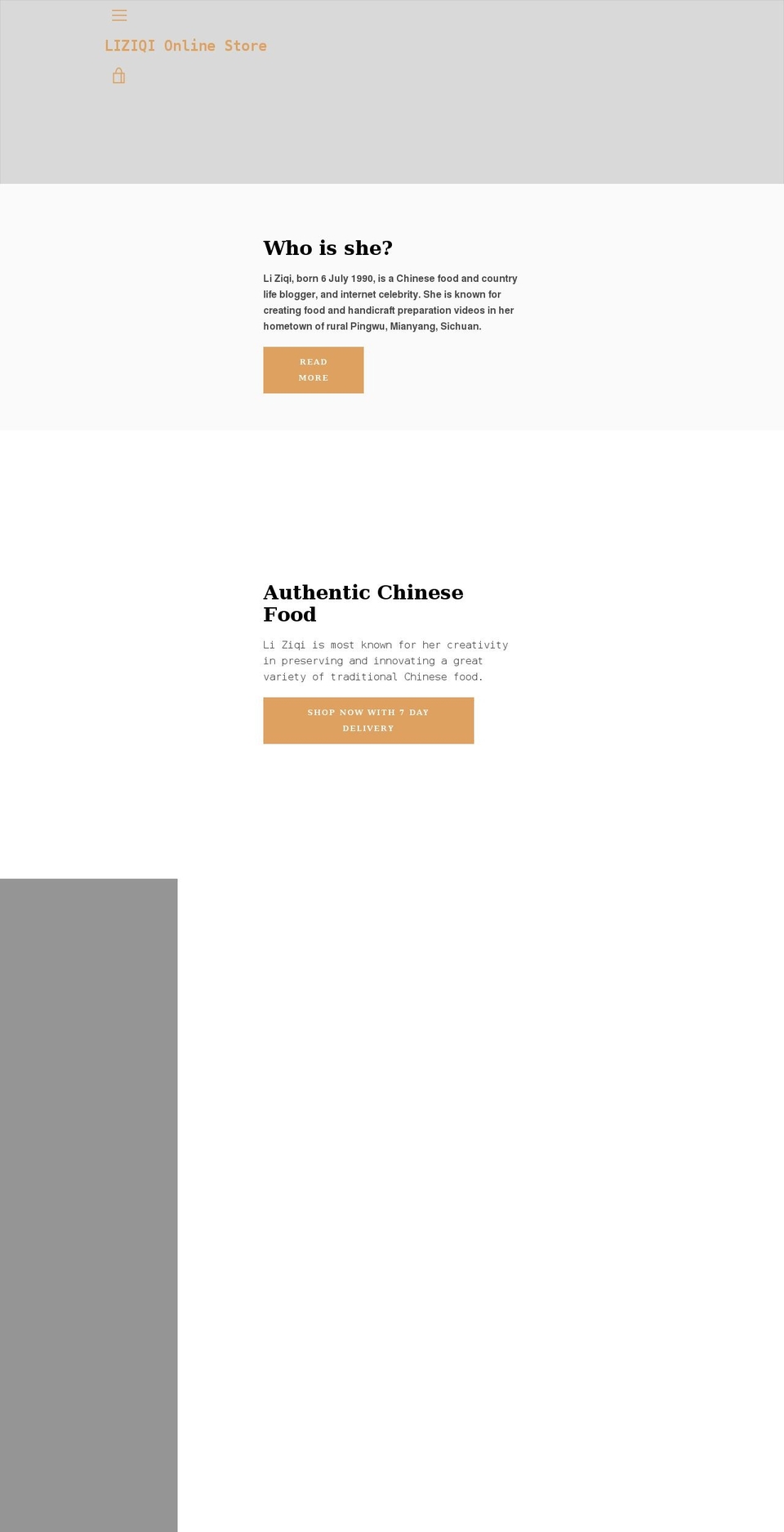 liziqicn.com shopify website screenshot