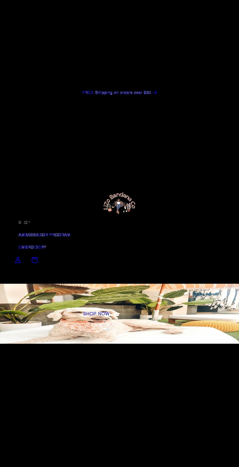 lizobandanaco.com shopify website screenshot