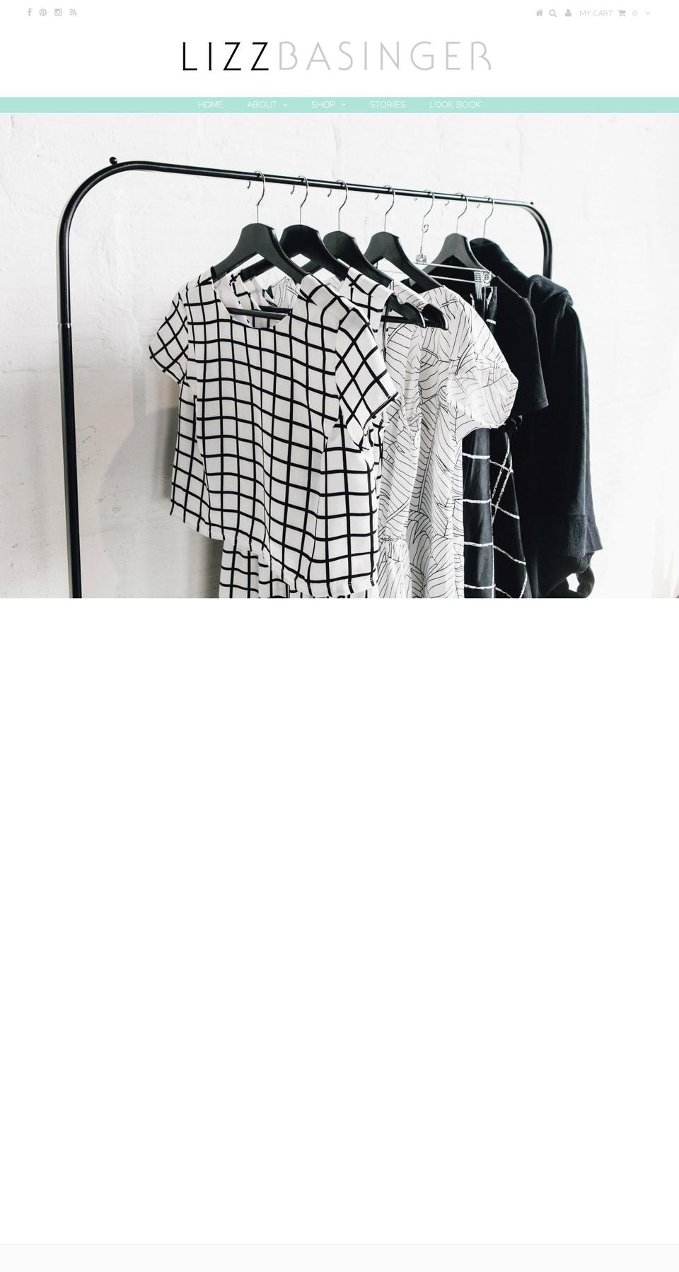 lizzbasinger.com shopify website screenshot