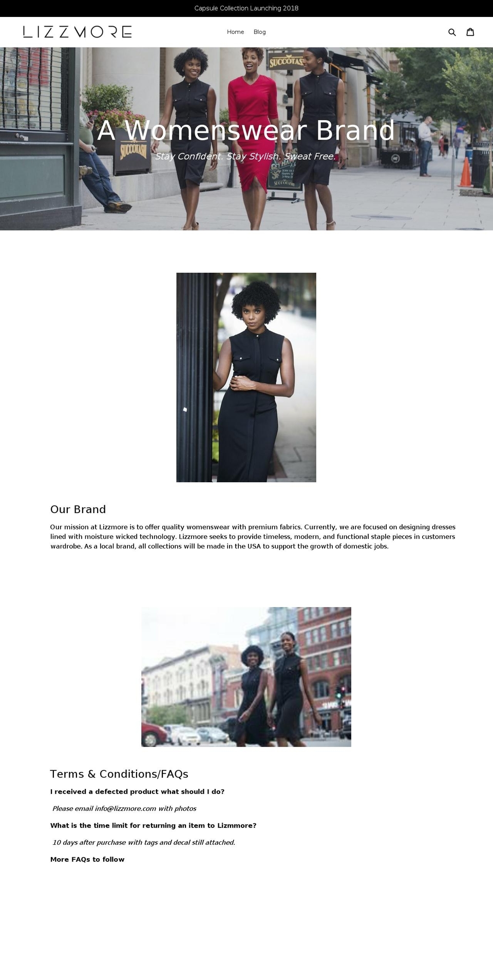 lizzmore.com shopify website screenshot