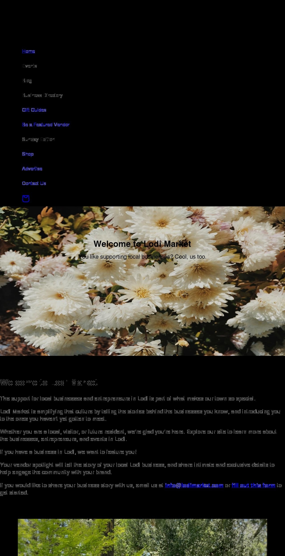 lodimarket.com shopify website screenshot