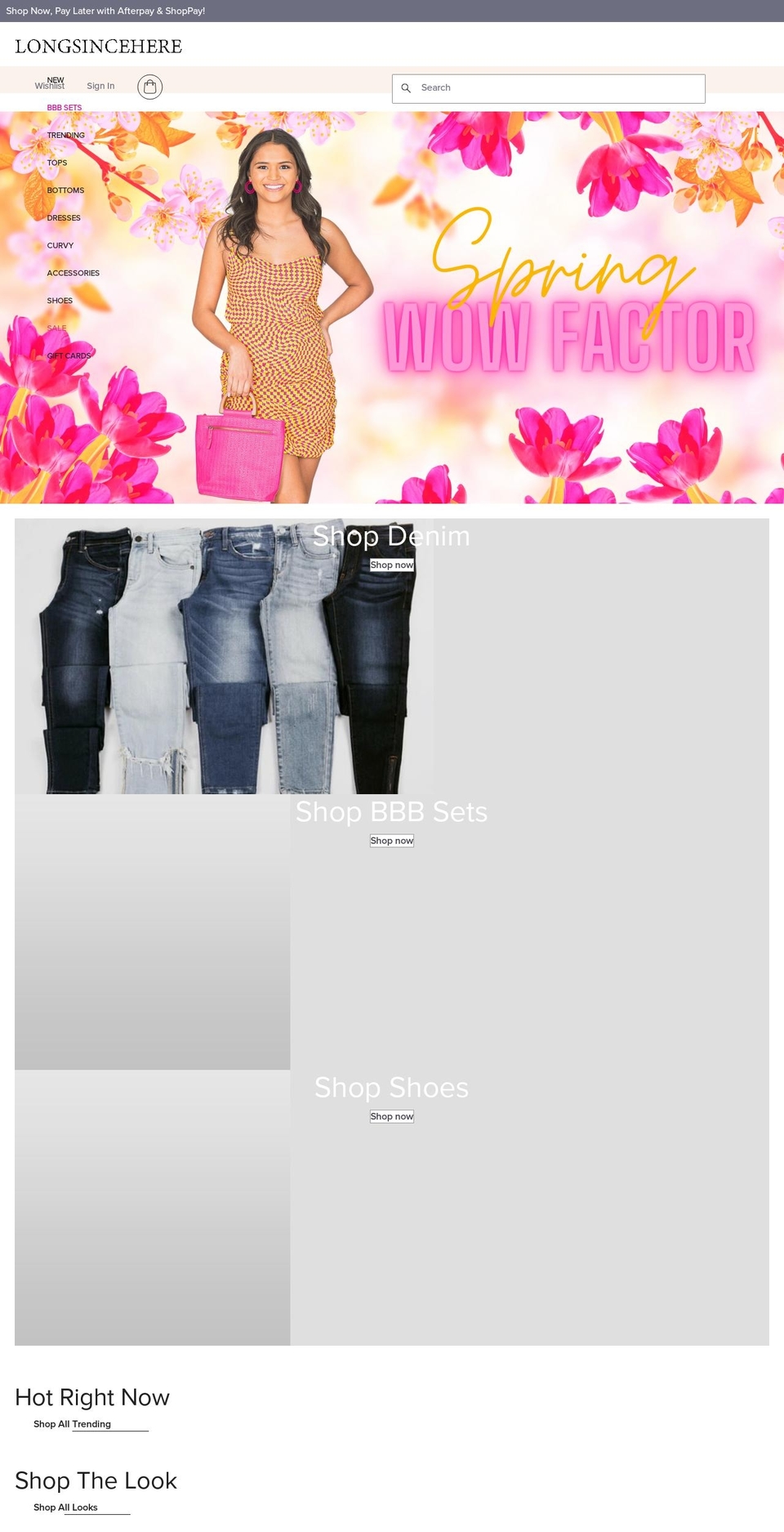 EE - Shopify theme site example longsincehere.com