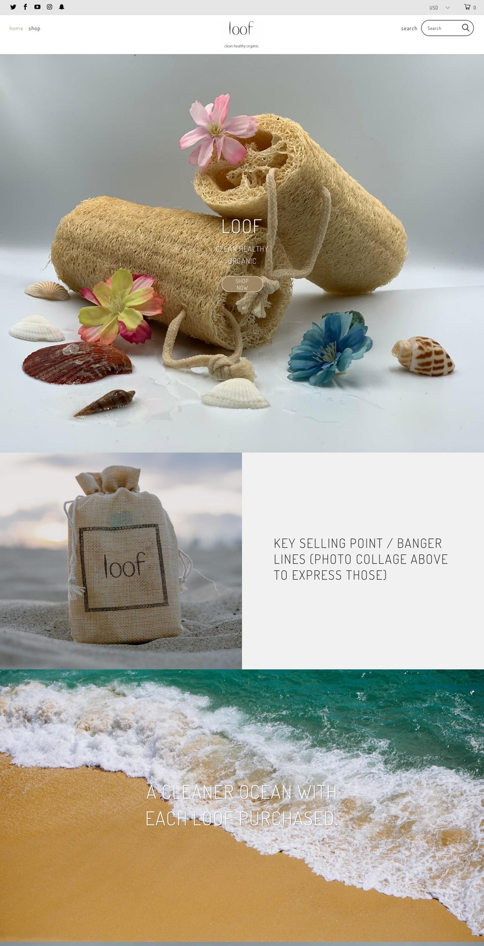 loofbrand.com shopify website screenshot
