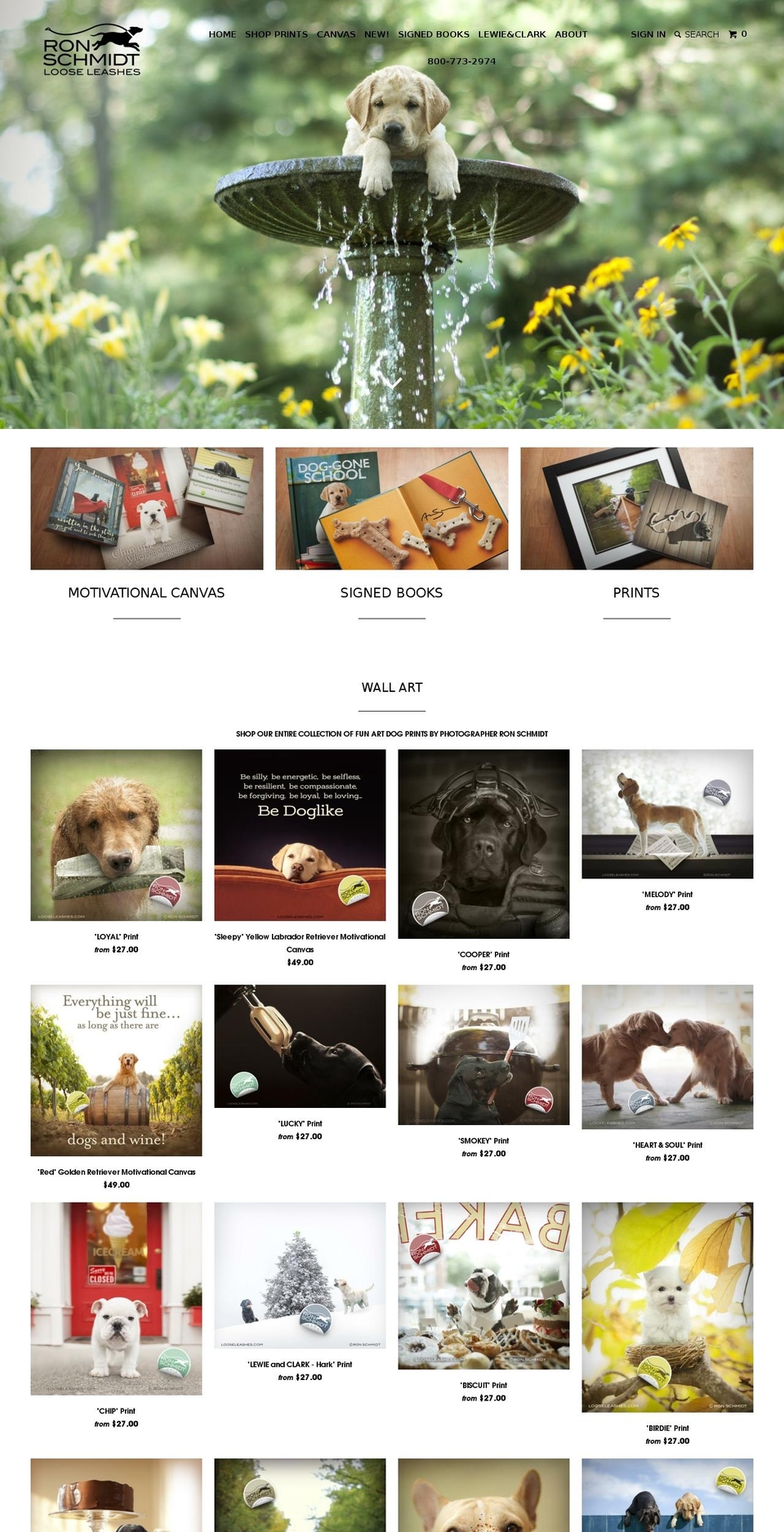 looseleashes.com shopify website screenshot