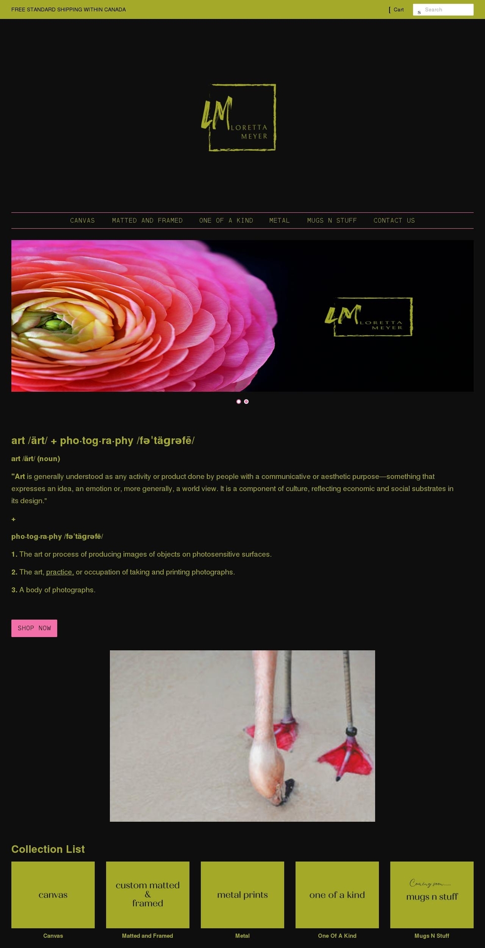 lorettameyerfineartphotography.ca shopify website screenshot
