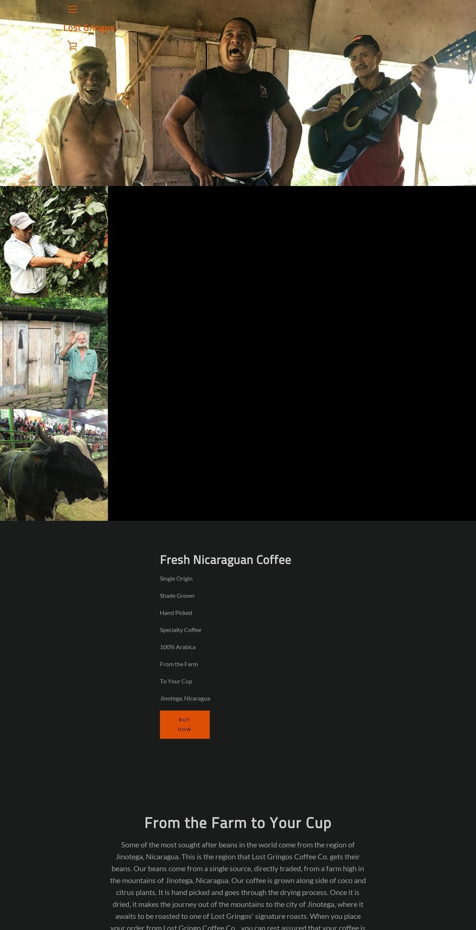 lost-gringos.com shopify website screenshot