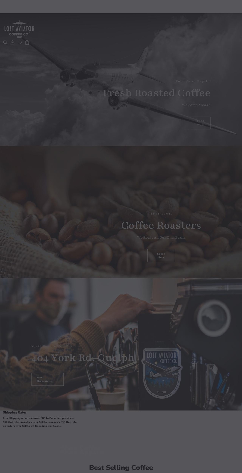lostaviatorcoffee.com shopify website screenshot