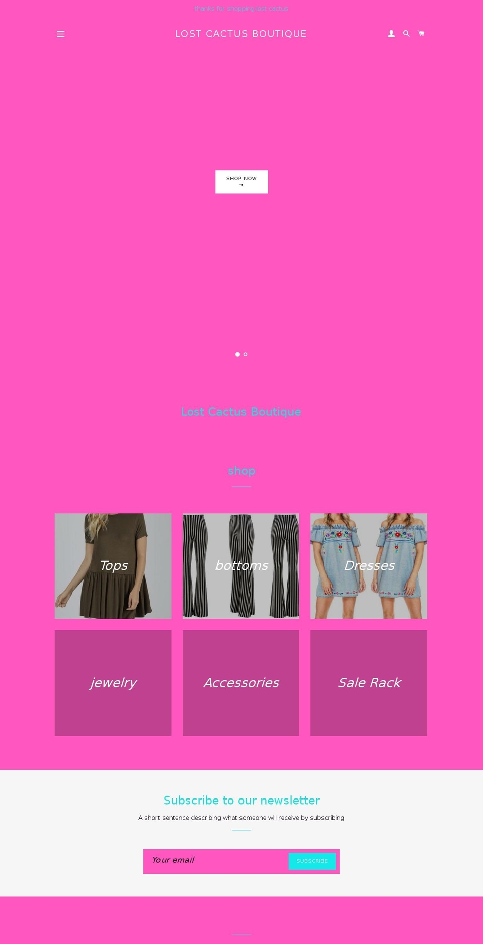 lostcactusboutique.com — Shopify storefront screenshot