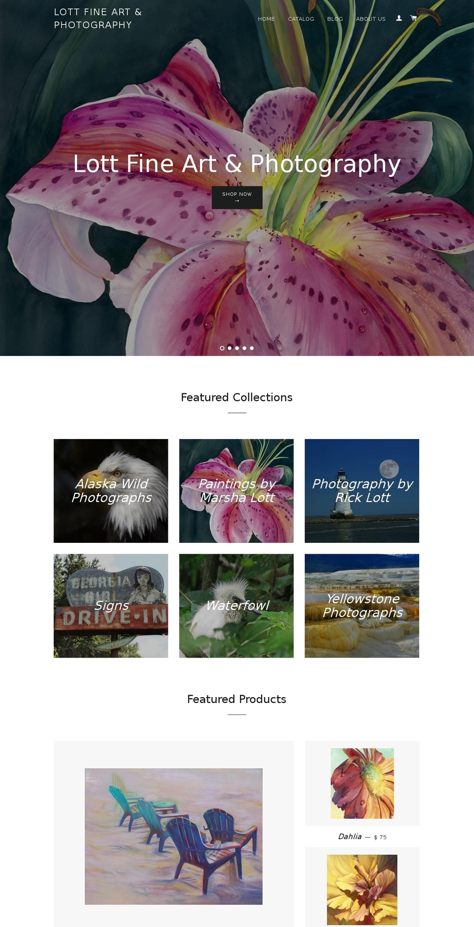 lottfineartandphotography.com shopify website screenshot
