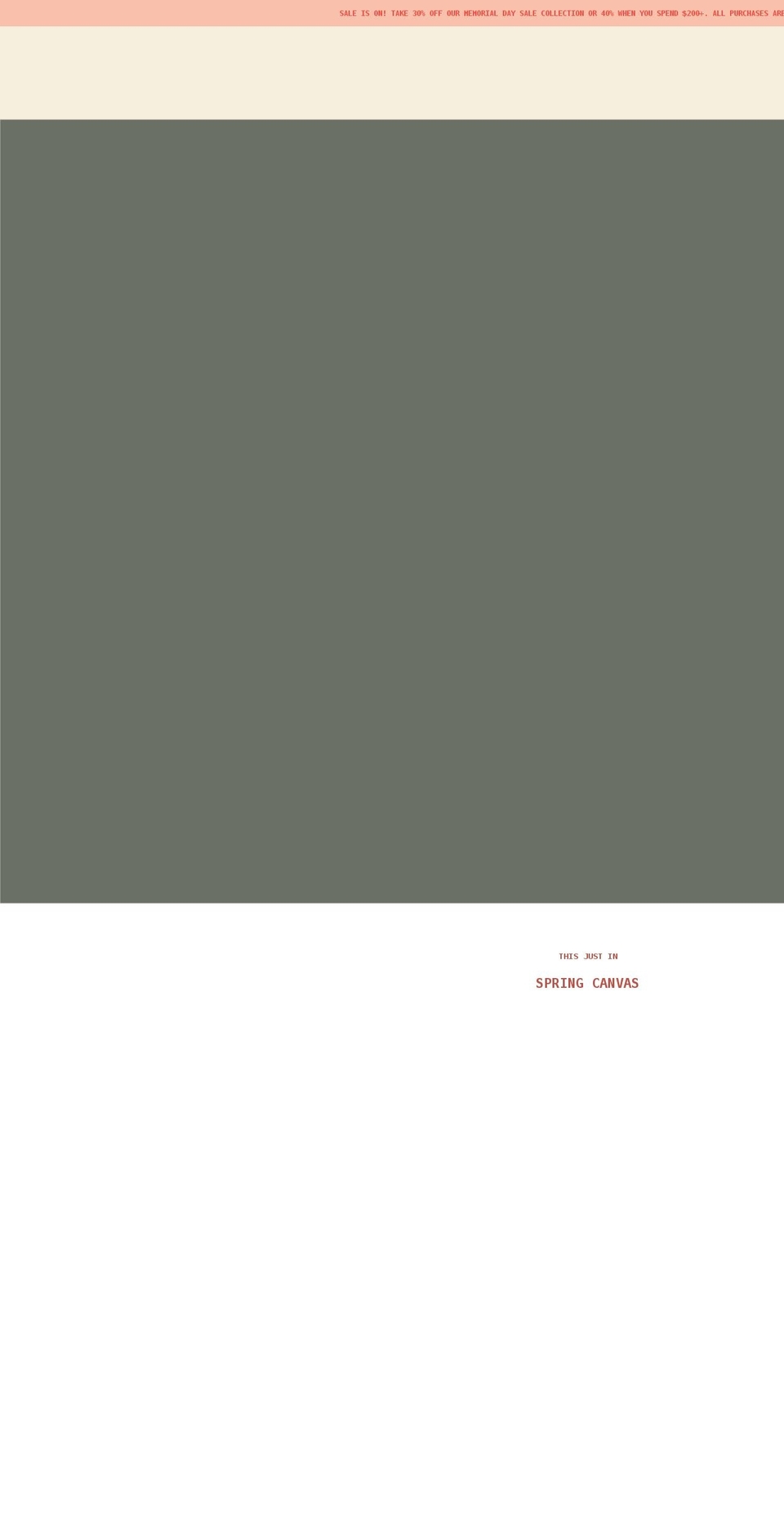 Speed Optimized  VIdeo slider of NobleCarriage Shopify theme site example lotusontheloose.com