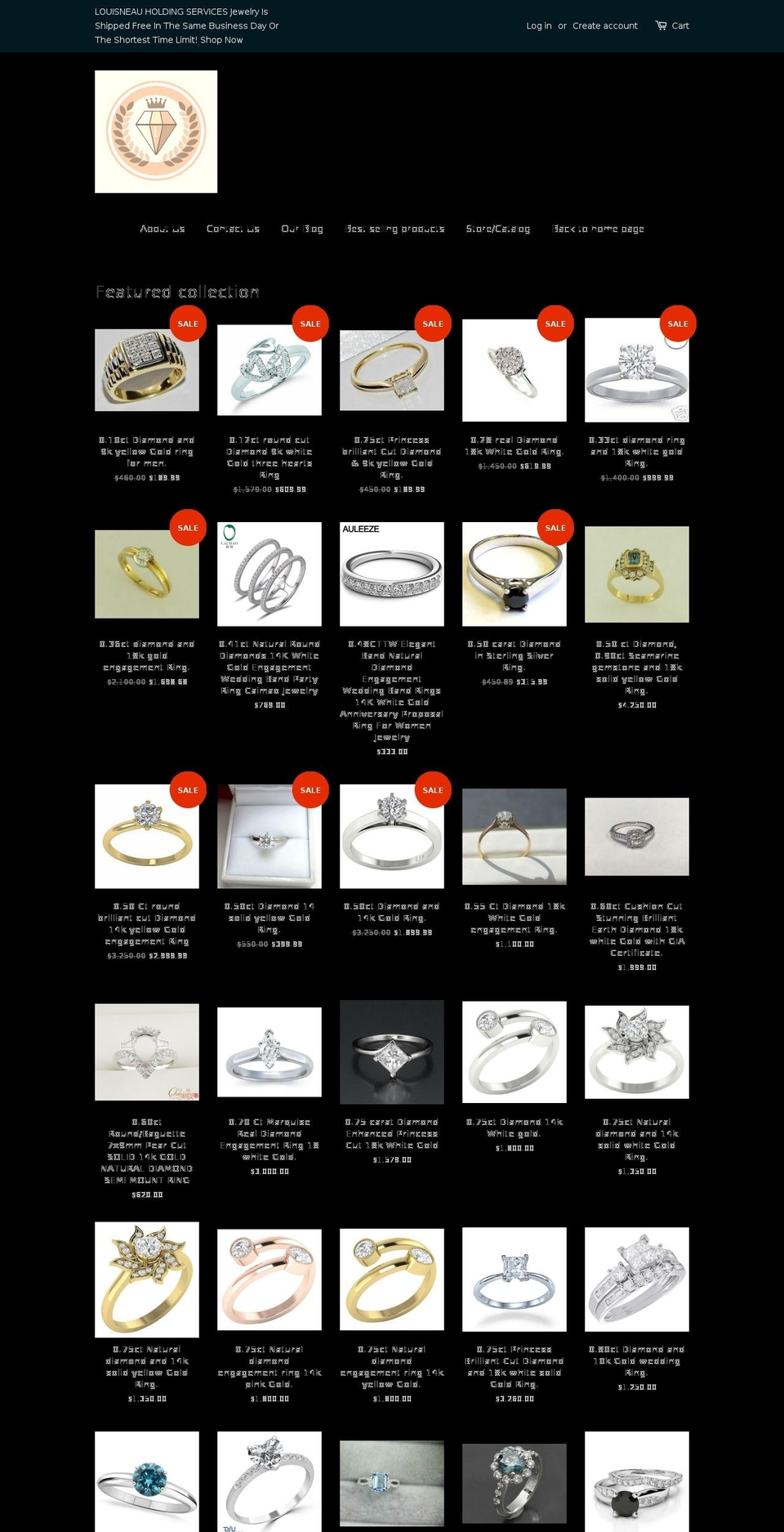 louisneau-holding-services.com shopify website screenshot