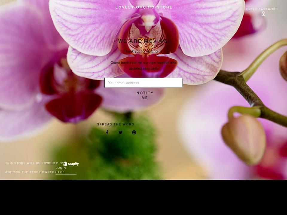 lovelyorchidstore.com shopify website screenshot