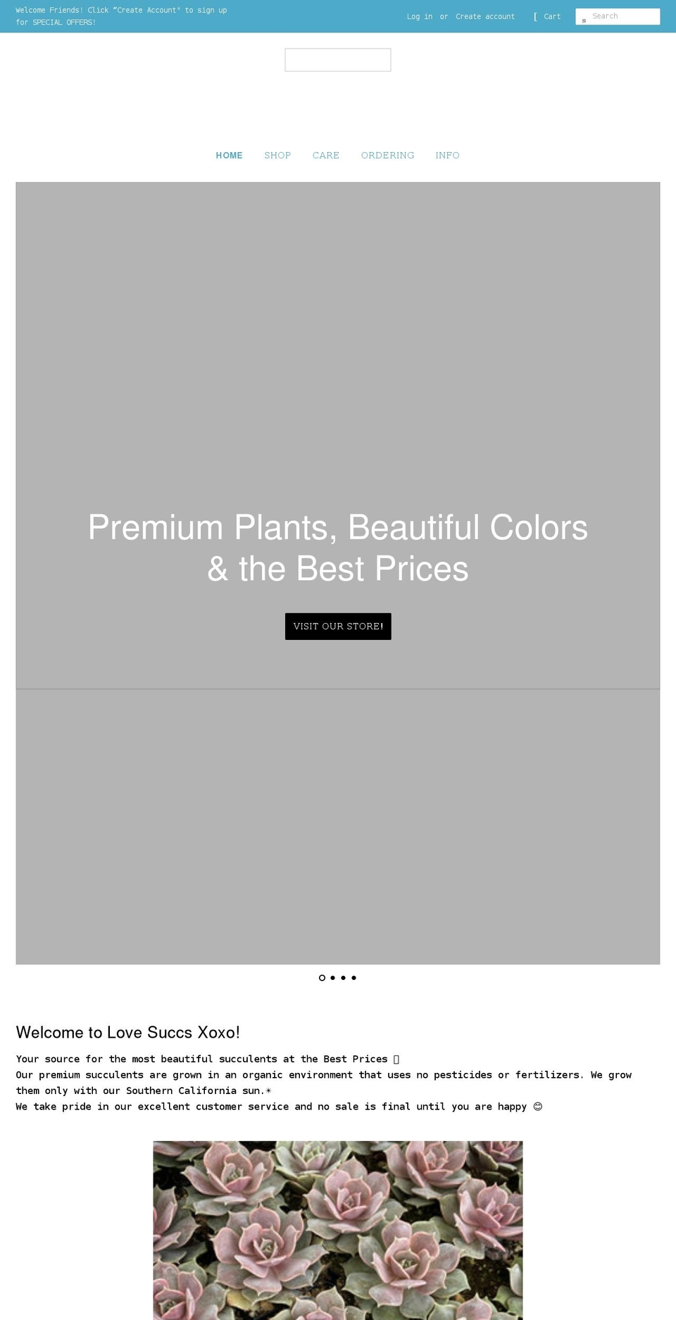 lovesuccsxoxo.com shopify website screenshot
