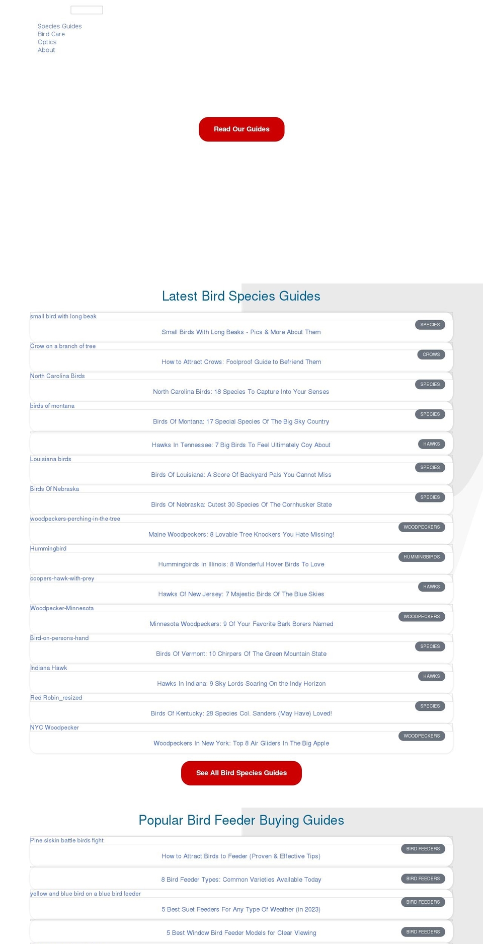 lovethebirds.com — Shopify storefront screenshot