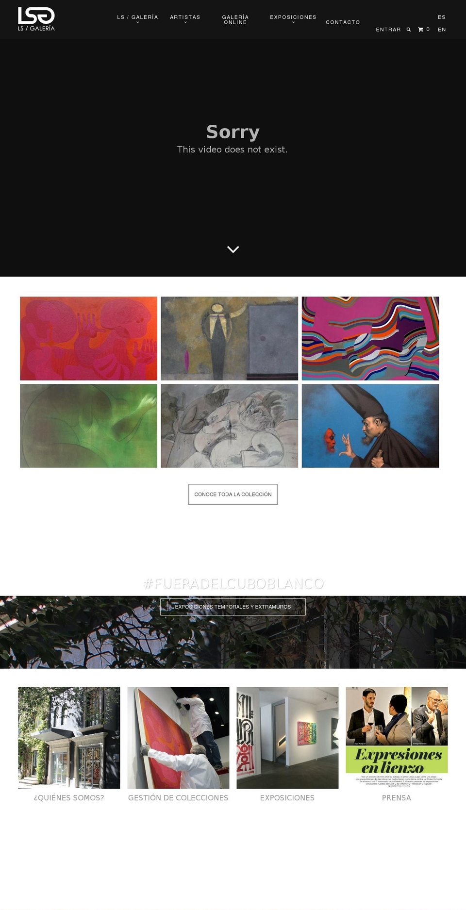 lsgaleria.com shopify website screenshot