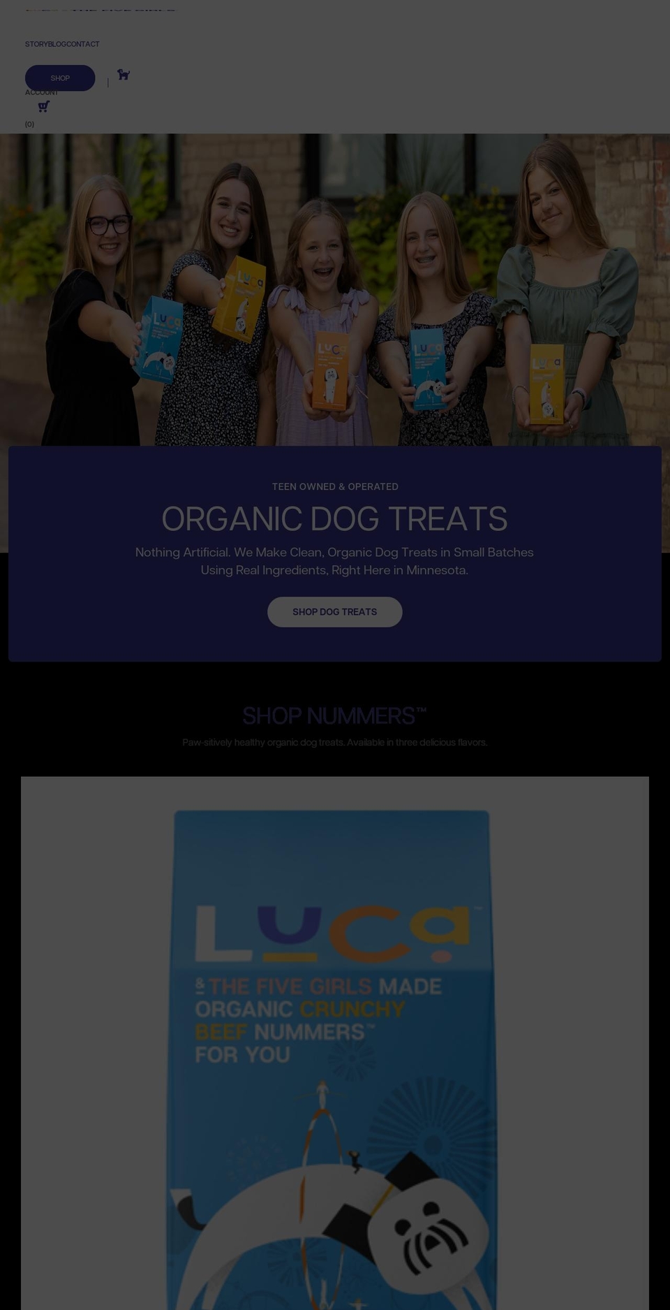 lucasdogboutique.com shopify website screenshot