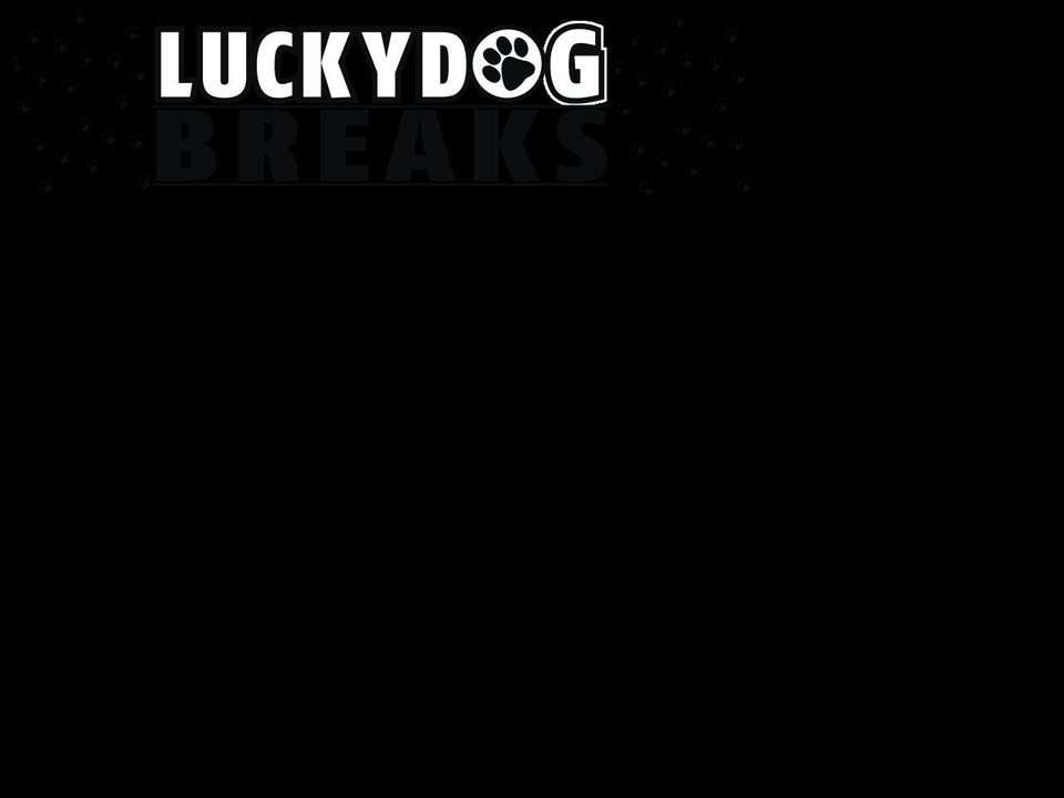 luckydogbreaks.com — Shopify storefront screenshot