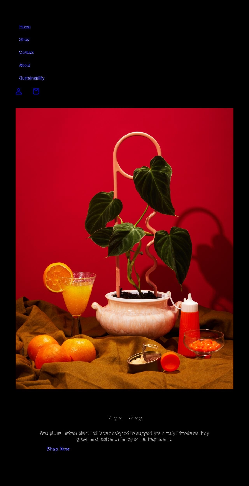 luckythings.com.au shopify website screenshot