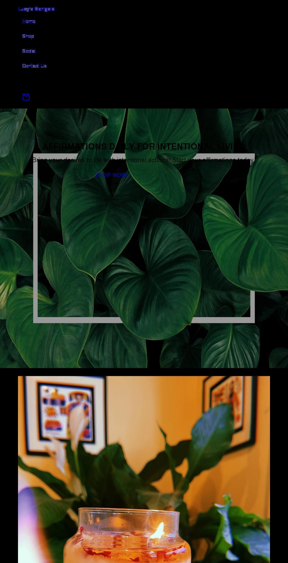 lucysmarigold.com shopify website screenshot