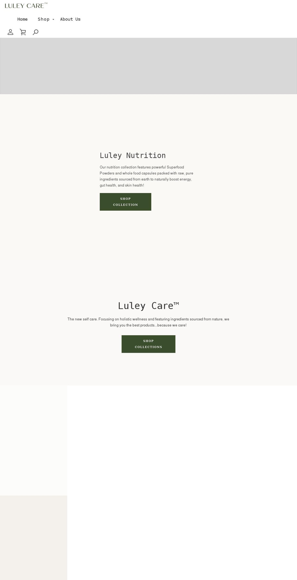 luleycare.com shopify website screenshot