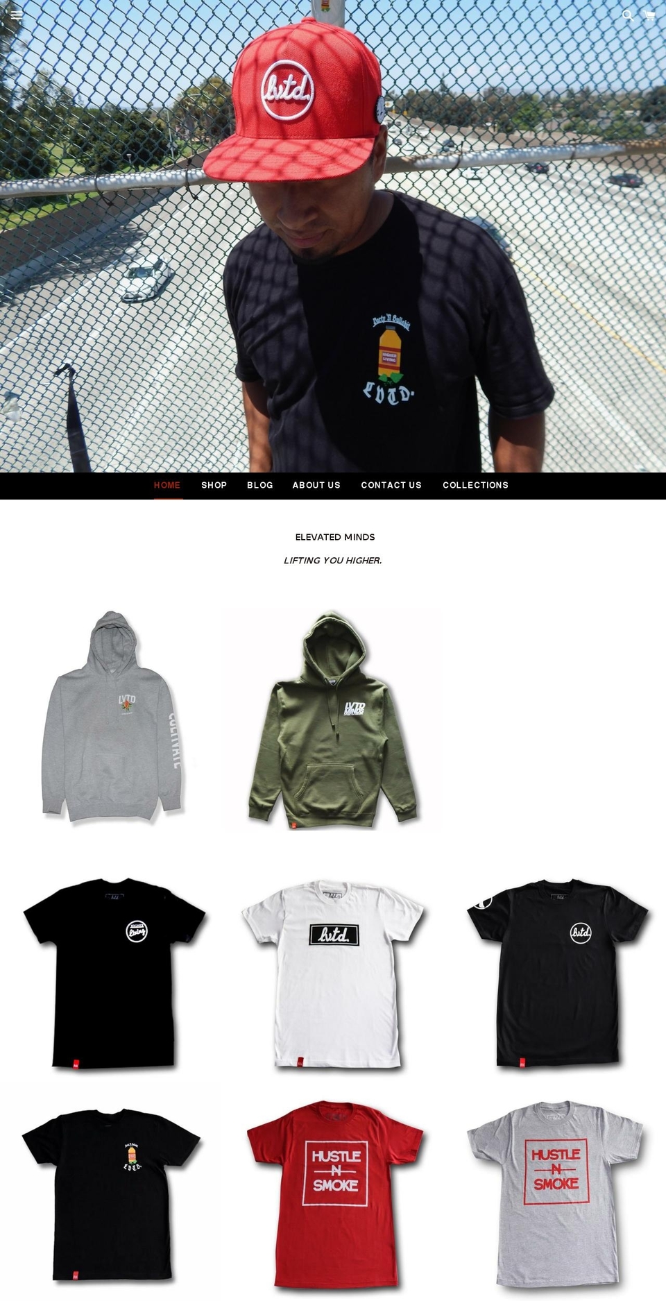 lvtdminds.com — Shopify storefront screenshot