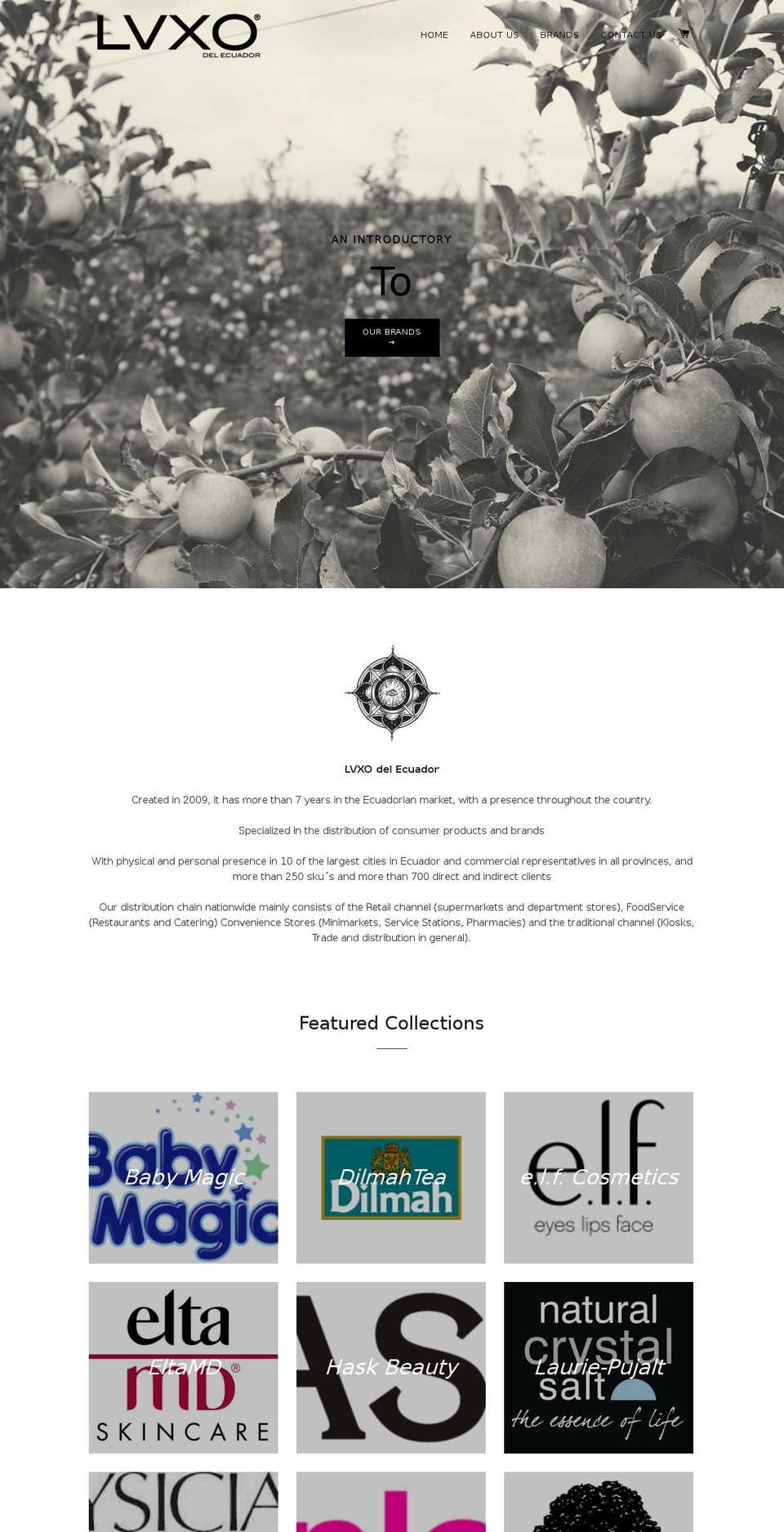 lvxo.com shopify website screenshot