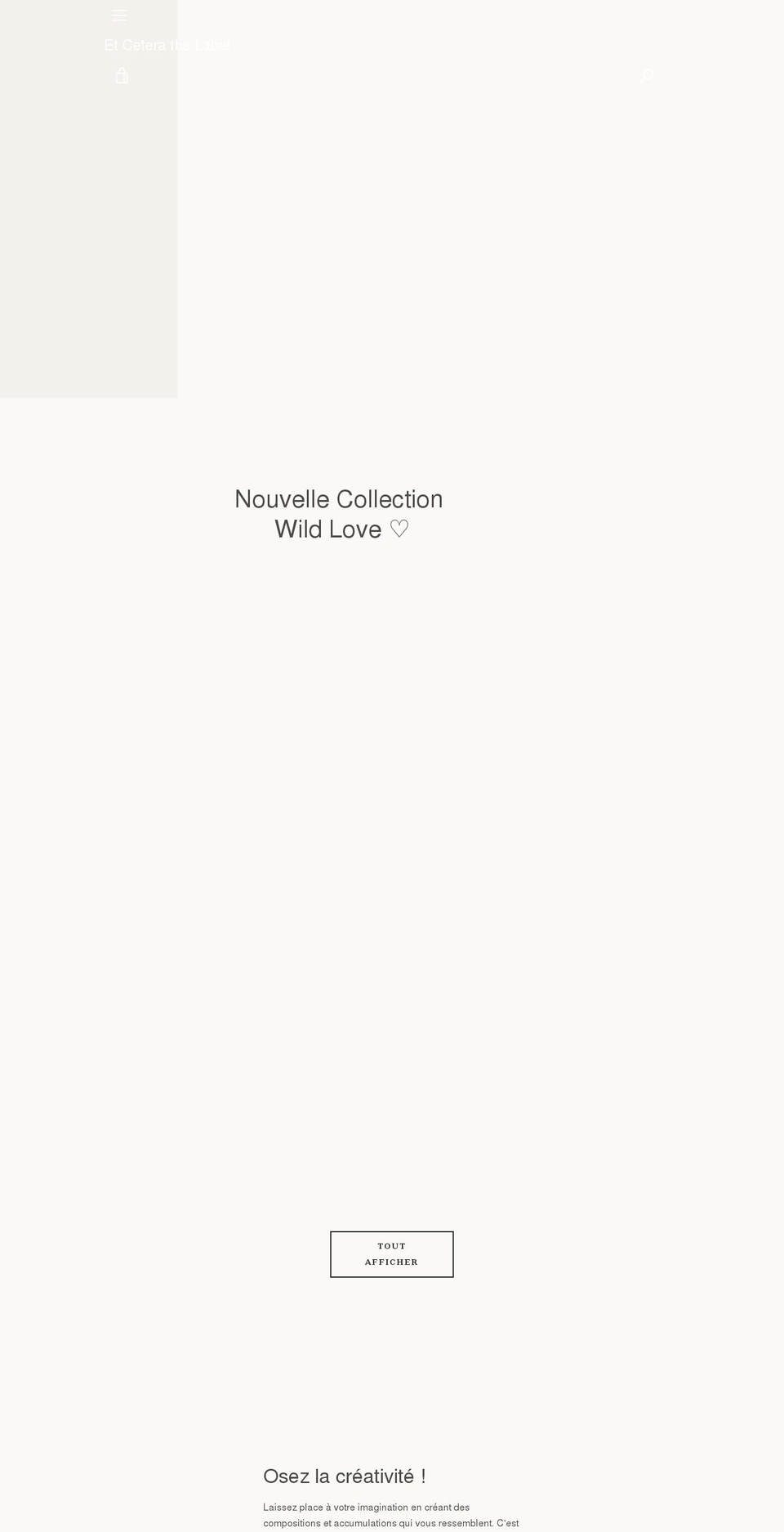 lynencloset.com shopify website screenshot