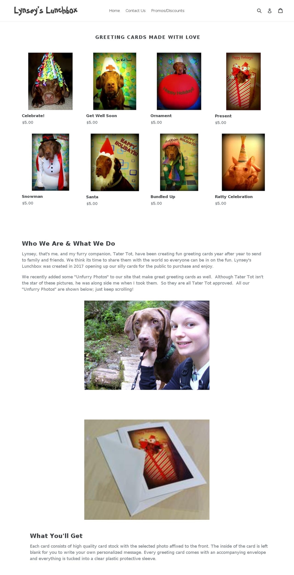 lynseyslunchbox.com — Shopify storefront screenshot