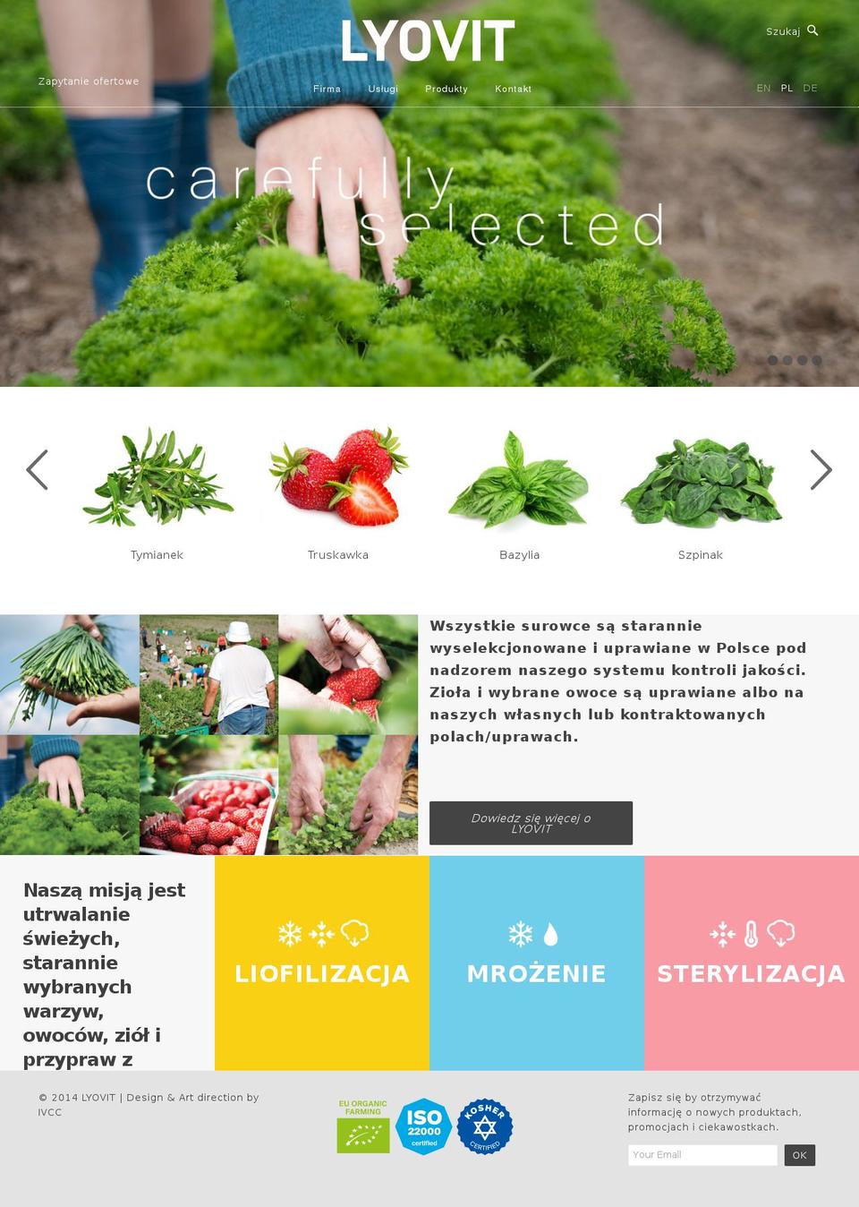 lyovit.pl shopify website screenshot