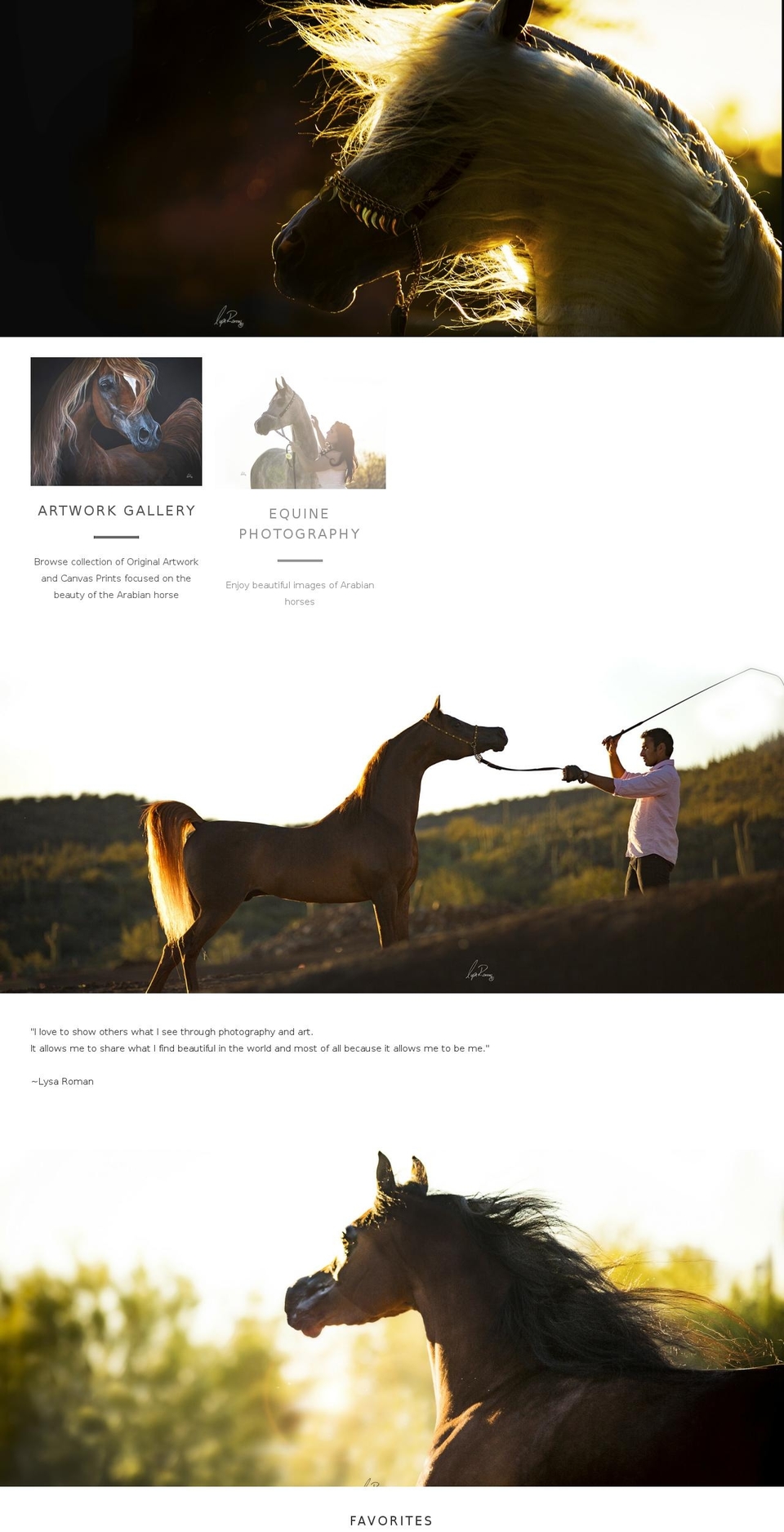 lysaromanphotography.com shopify website screenshot