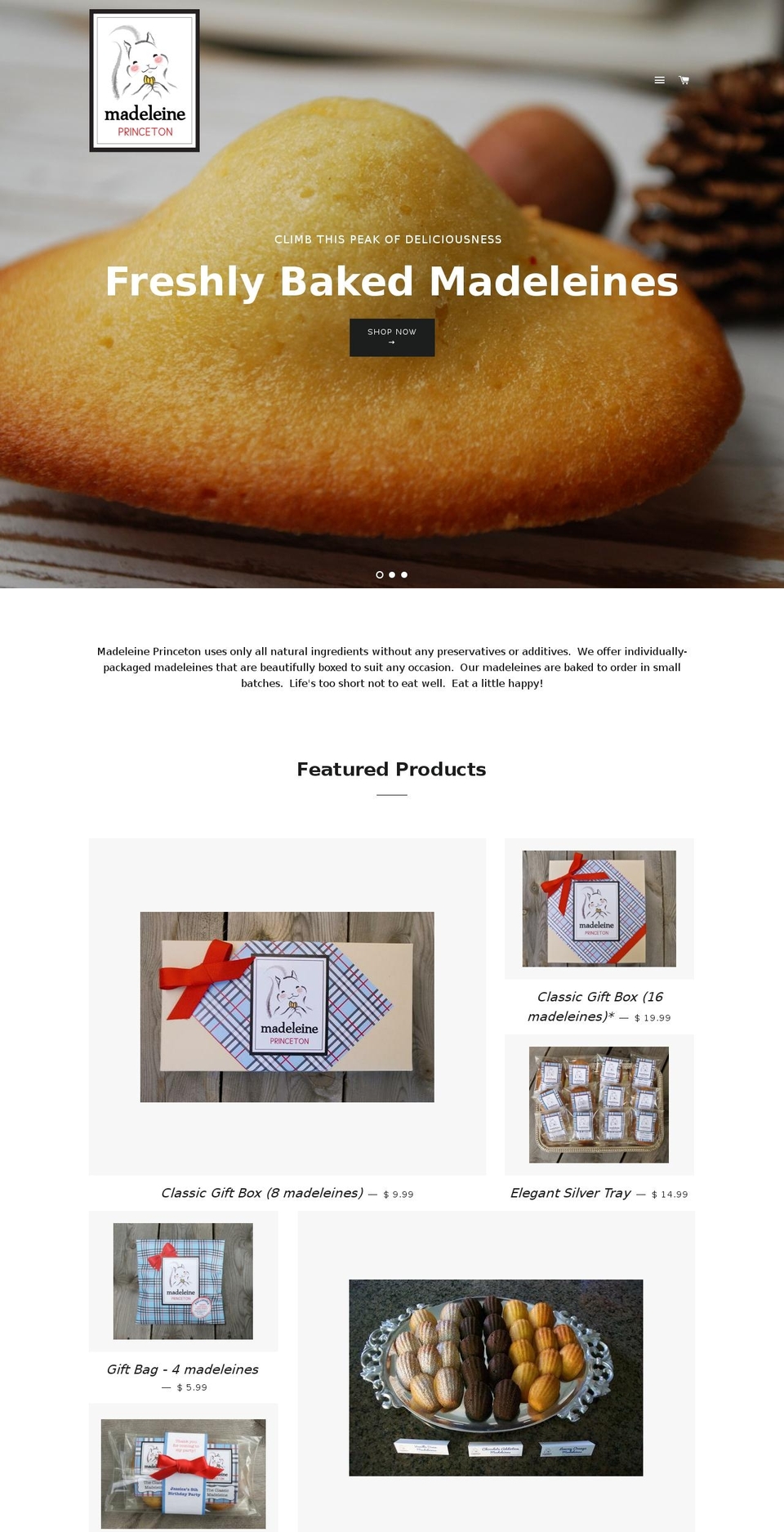 madeleineprinceton.com shopify website screenshot