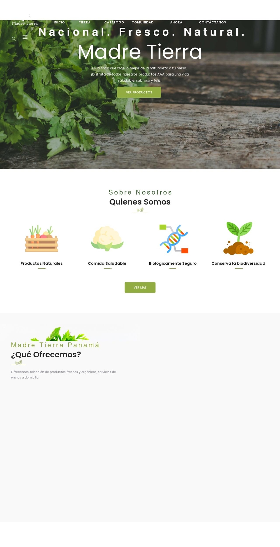 madretierrapanama.com shopify website screenshot