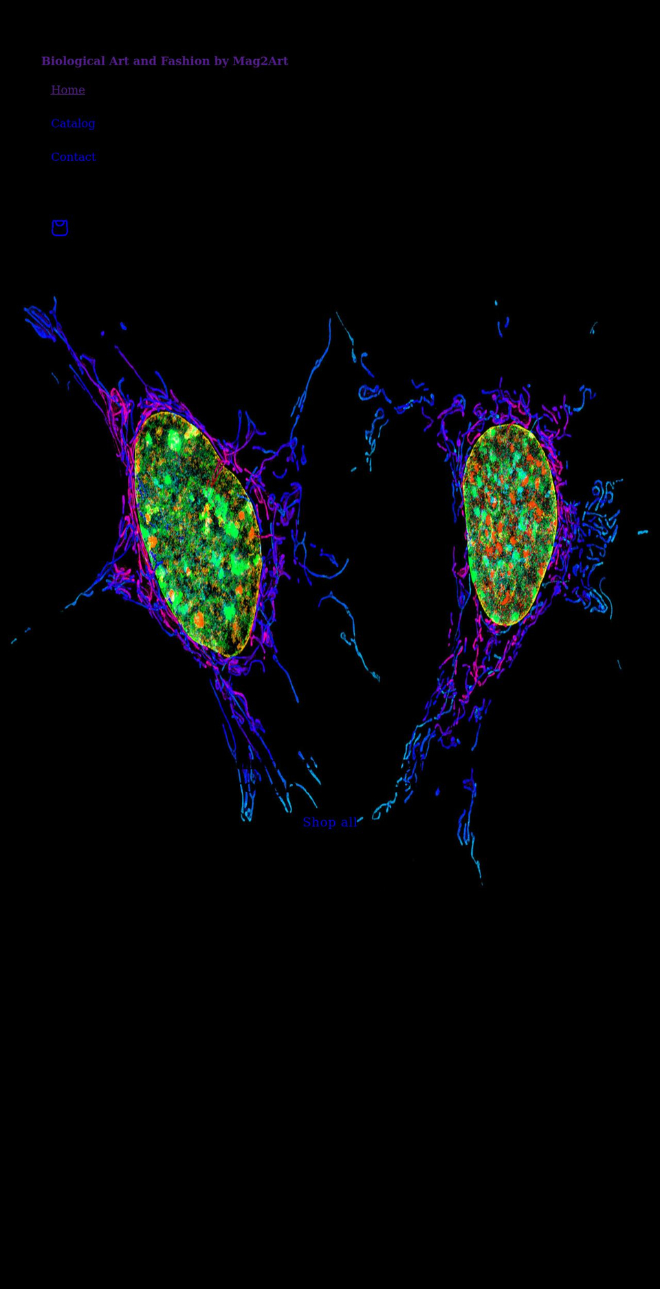 mag2art.com shopify website screenshot