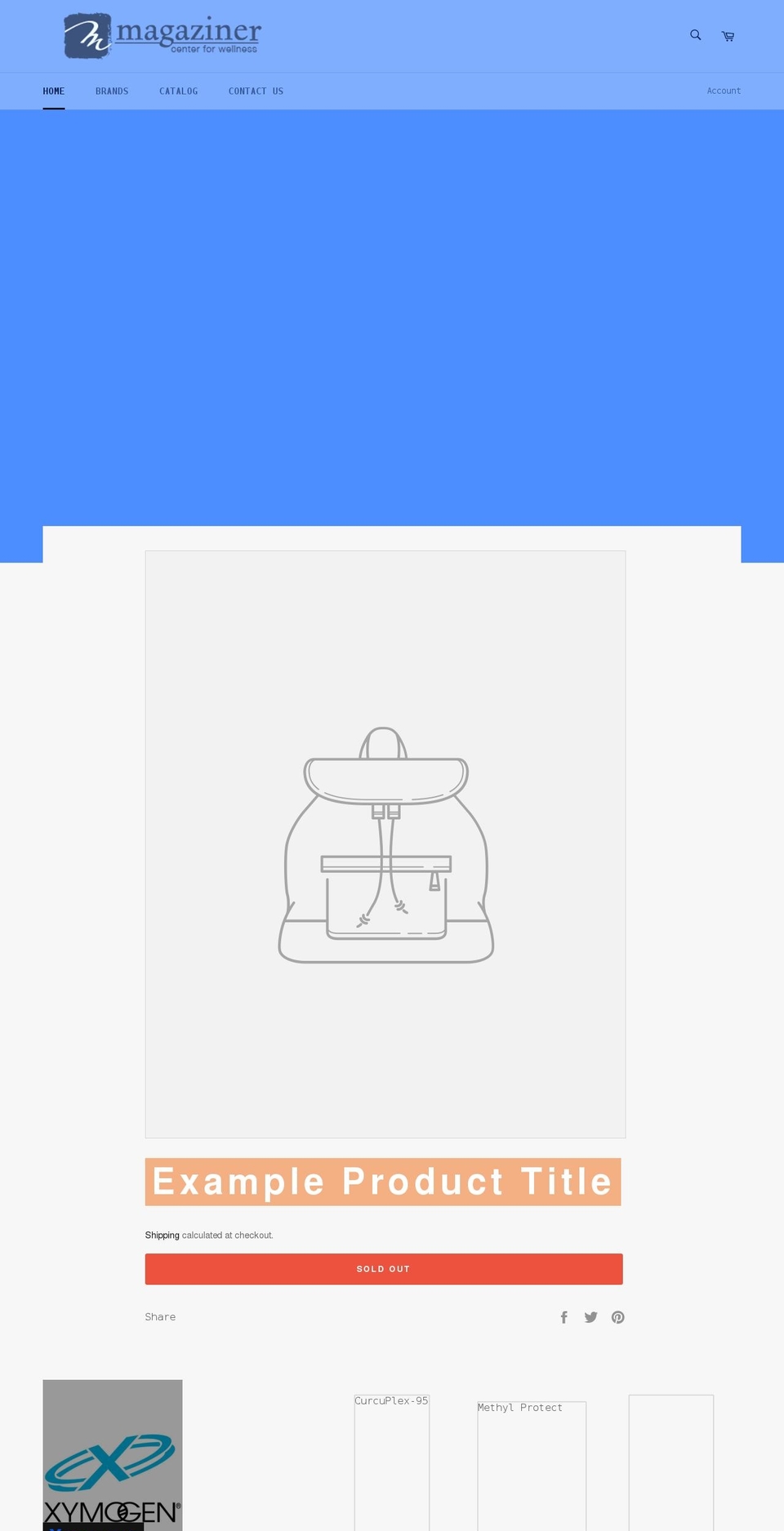 magaziner-center-for-wellness.myshopify.com shopify website screenshot