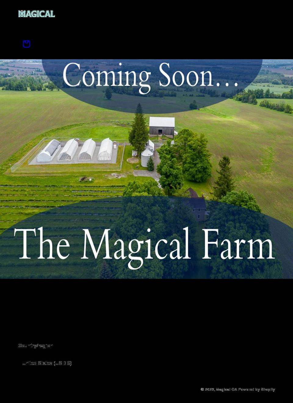 magical.ca shopify website screenshot