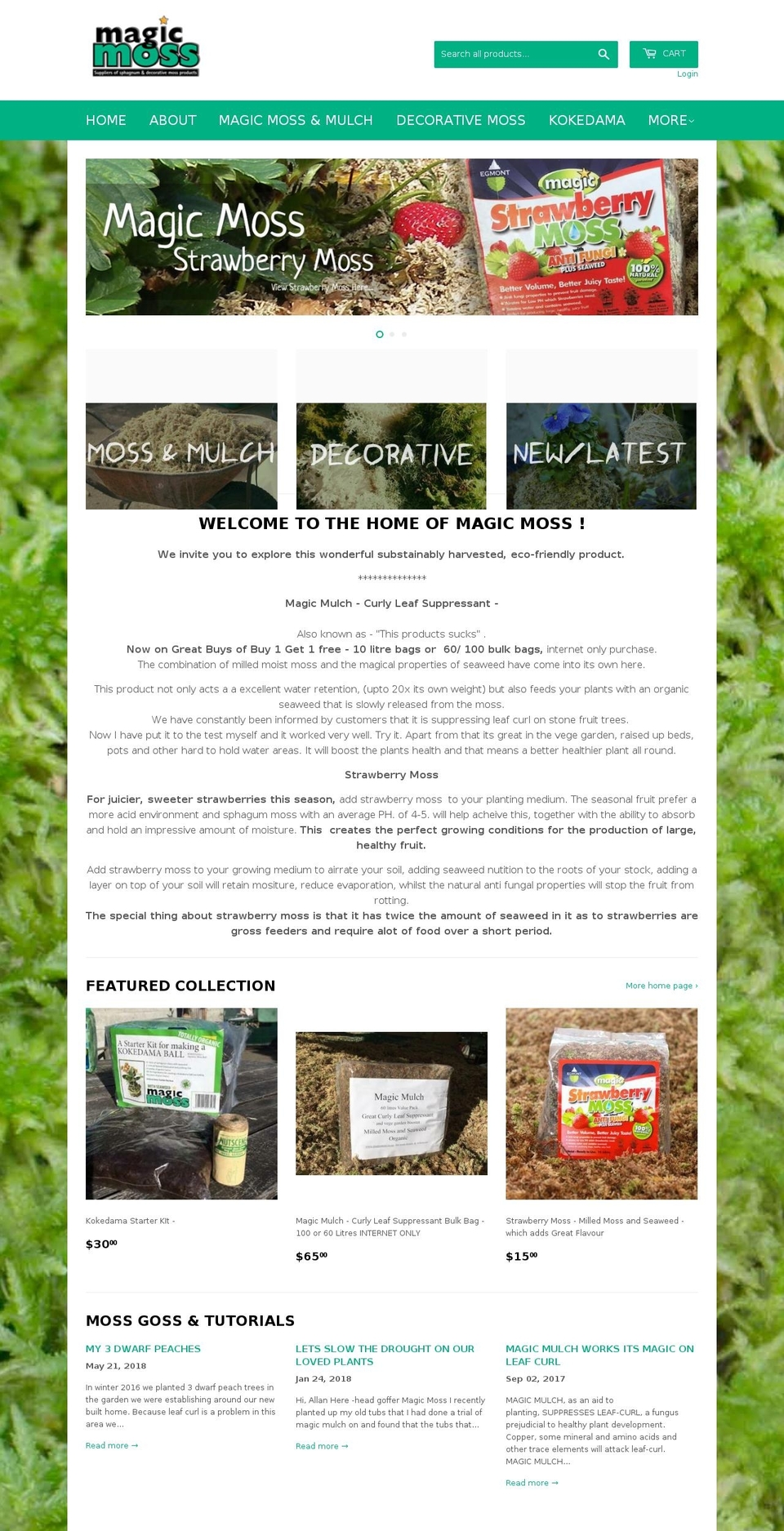 magicmoss.co.nz shopify website screenshot