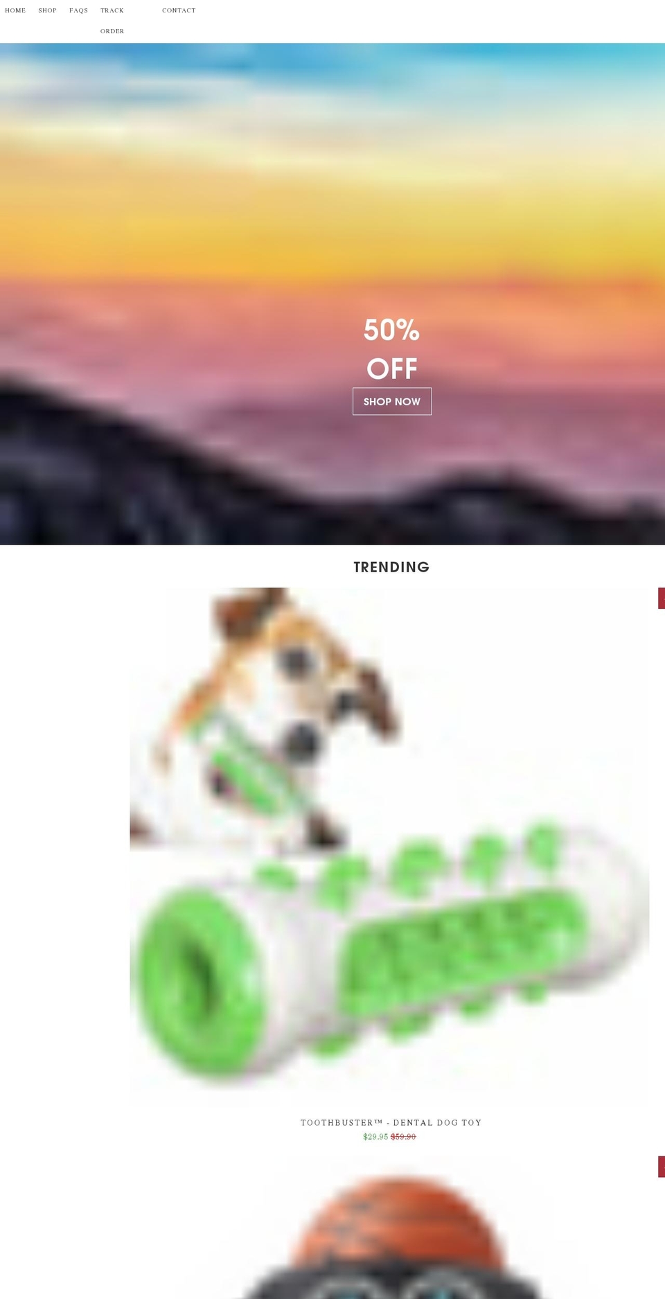 magnetflash.com shopify website screenshot