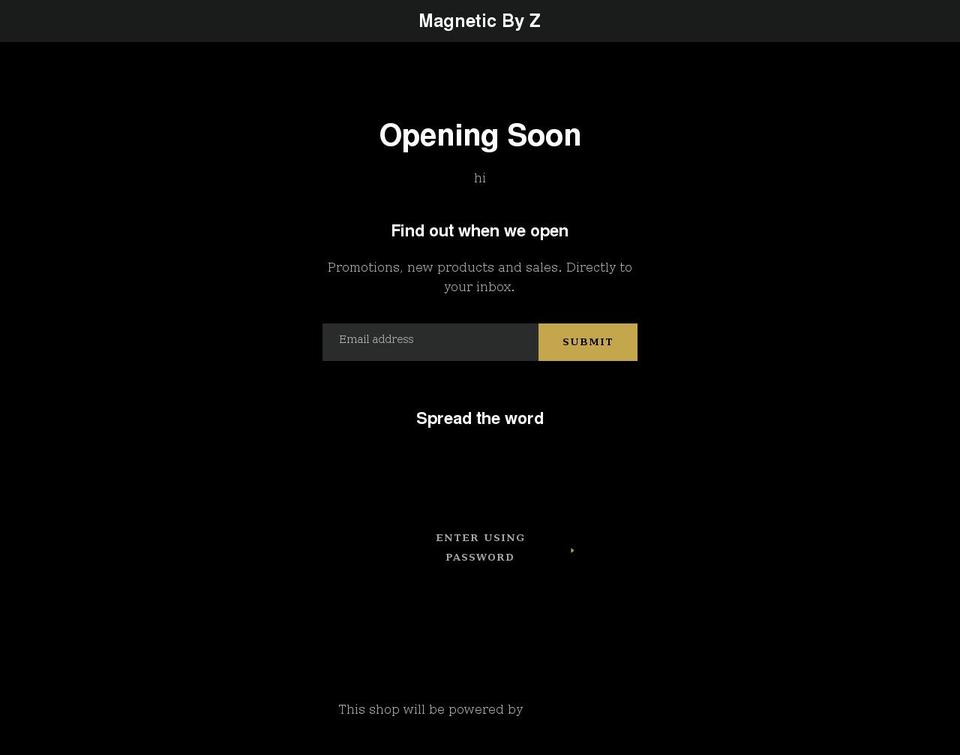 magneticbyz.com shopify website screenshot