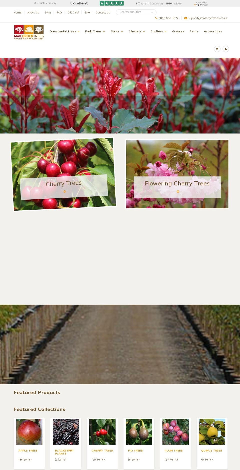 mailordertrees.co.uk shopify website screenshot